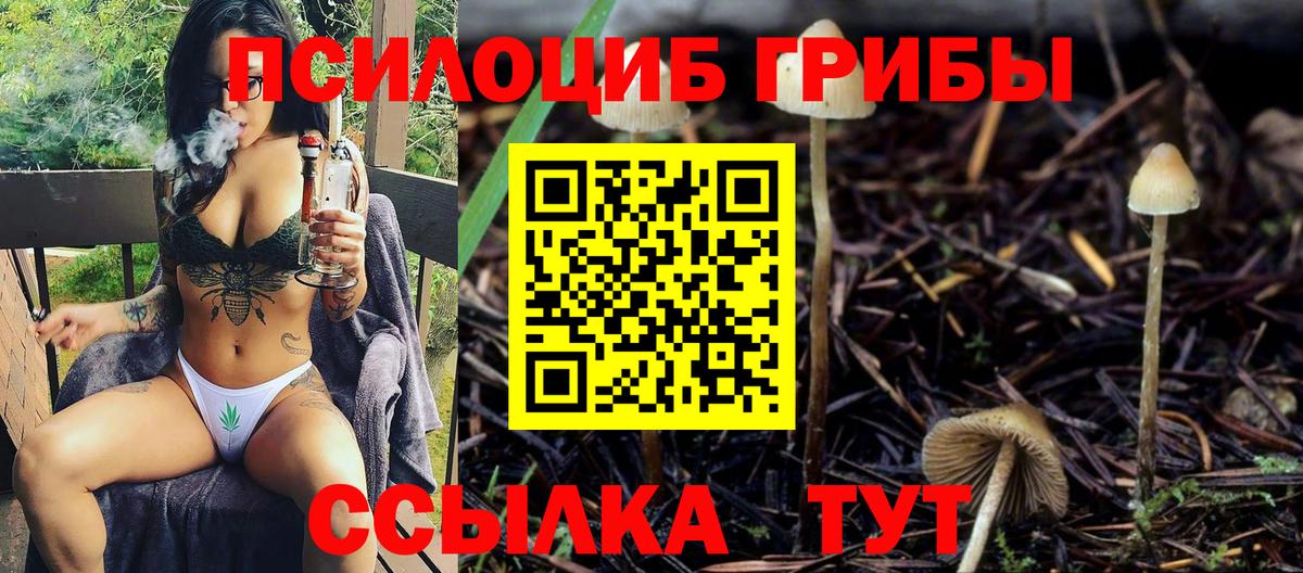 Мончегорск  Псилоцибиновые грибы MAGIC MUSHROOMS  Вход с VPN  Галлюциногенные грибы мухоморы 